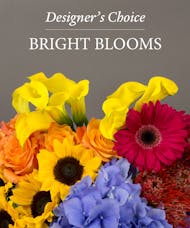 Designer's Choice Bright Blooms